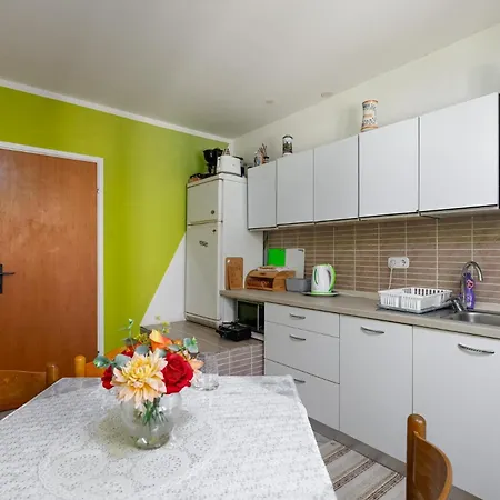 Apartment Zoky